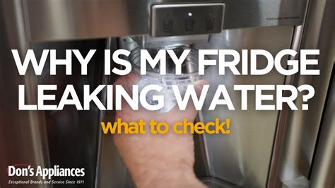 Why Your Samsung Fridge is Leaking (and How to Fix It)